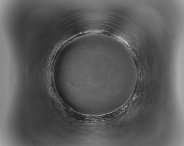X0000096190337200801181325