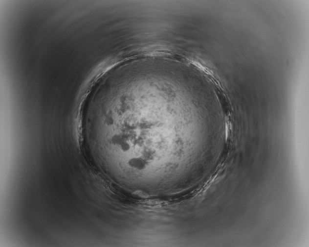 X0000096190339200801181325