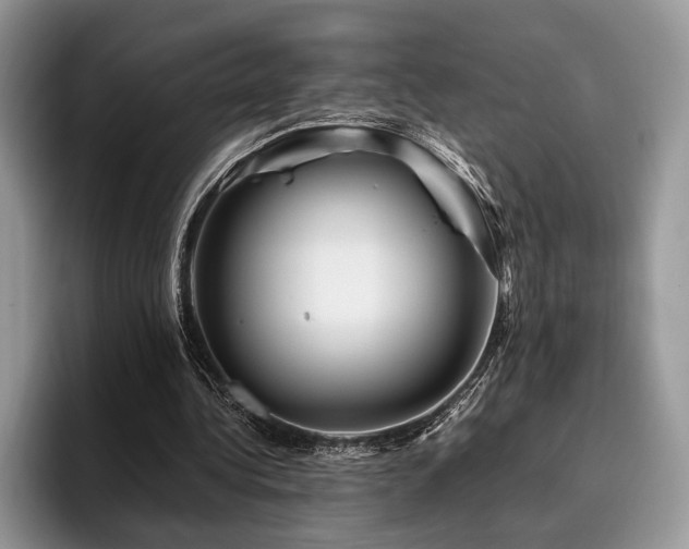 X0000096190340200801181325