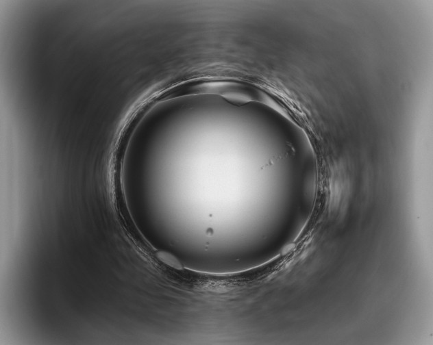 X0000096190341200801181325