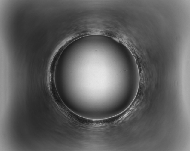 X0000096190342200801181325