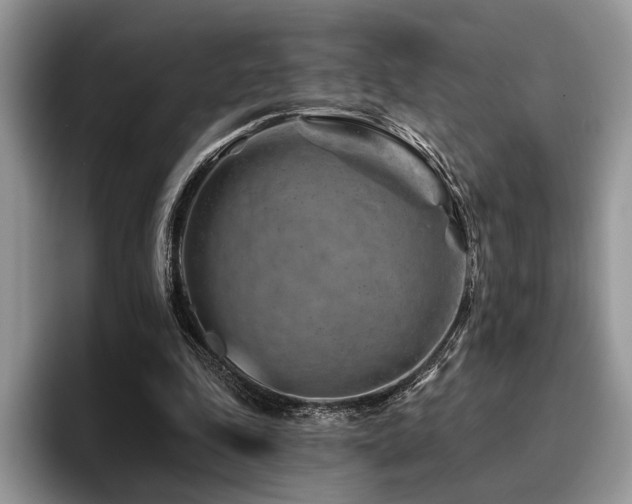 X0000096190343200801181325