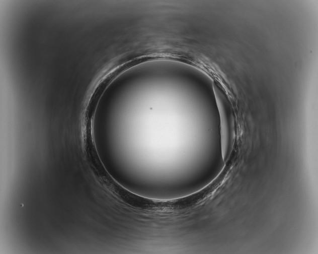 X0000096190344200801181325