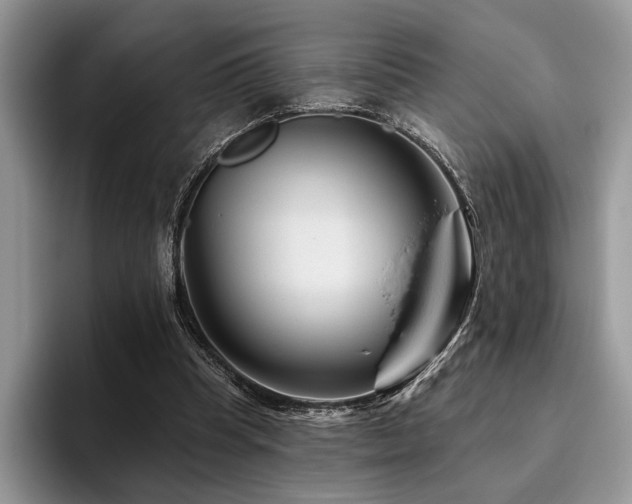 X0000096190345200801181325