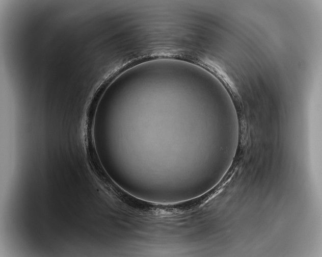 X0000096190346200801181325