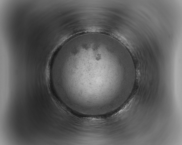X0000096190347200801181325
