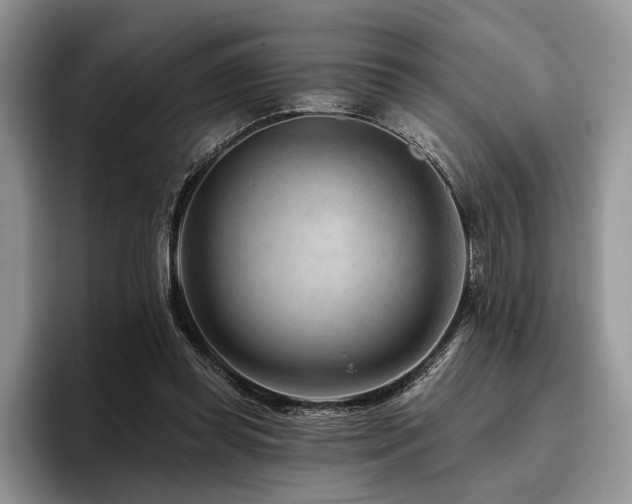 X0000096190349200801181325