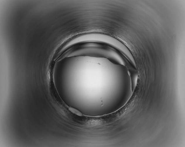 X0000096190350200801181325