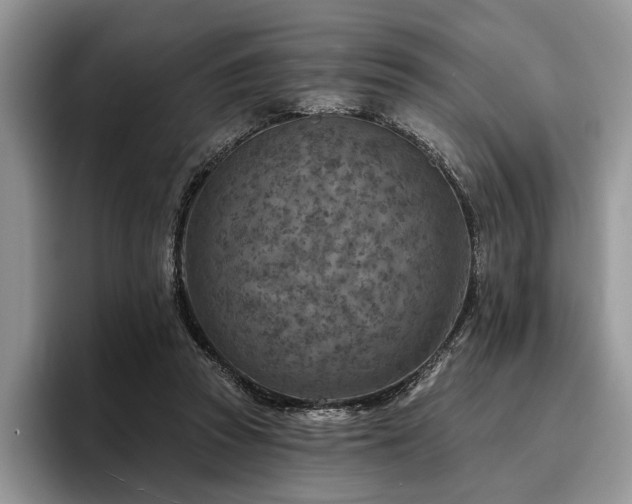 X0000096190353200801181325