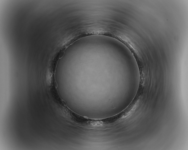 X0000096190355200801181325