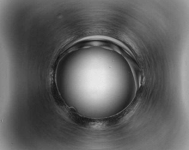 X0000096190356200801181325