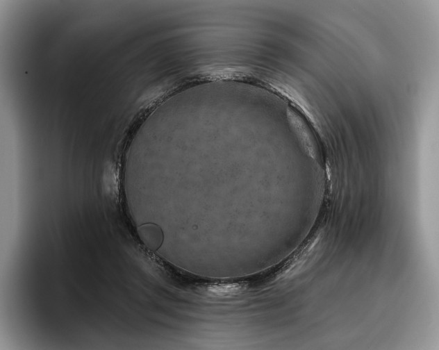 X0000096190357200801181325