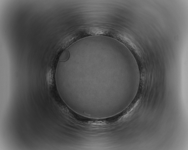 X0000096190359200801181325