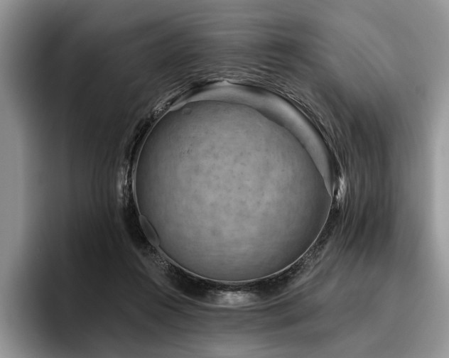 X0000096190360200801181325