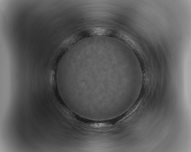 X0000096190361200801181325