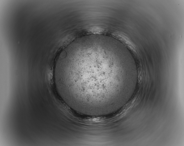 X0000096190365200801181325