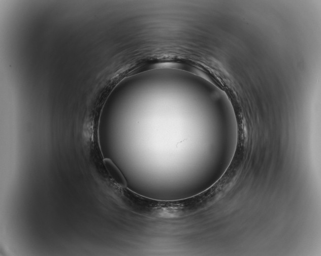 X0000096190368200801181326