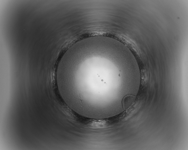 X0000096190369200801181326