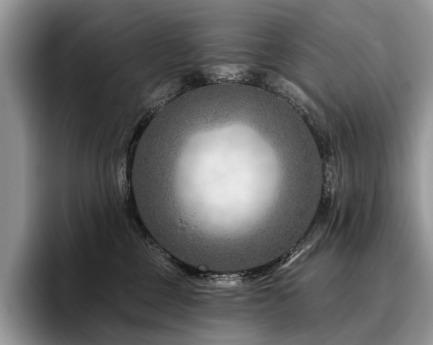 X0000096190377200801181326