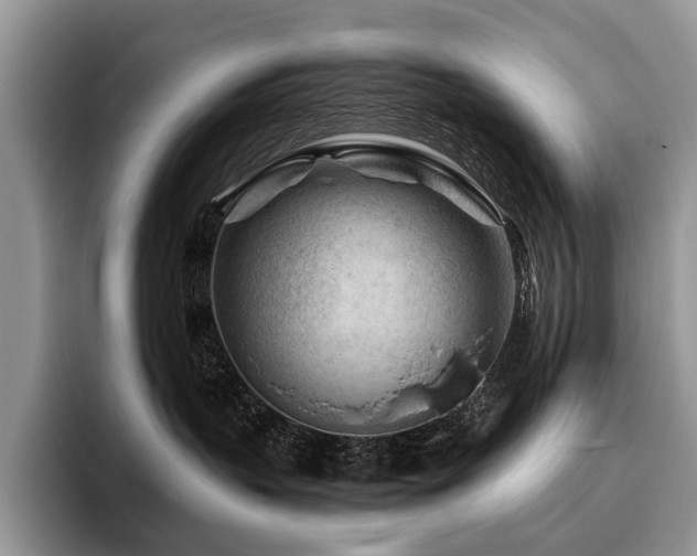 X0000096190383200801181326