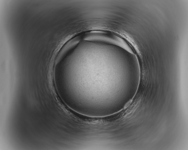 X0000096190385200801181325