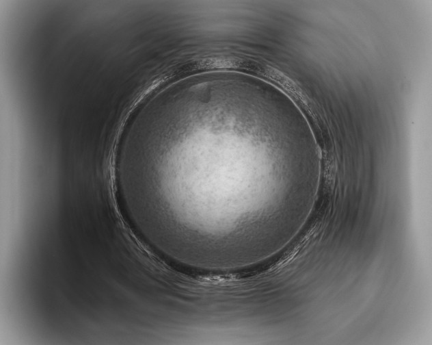X0000096190386200801181325