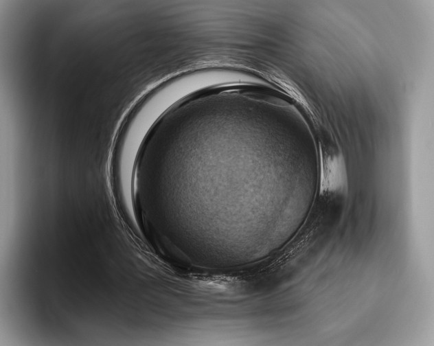 X0000096190387200801181325