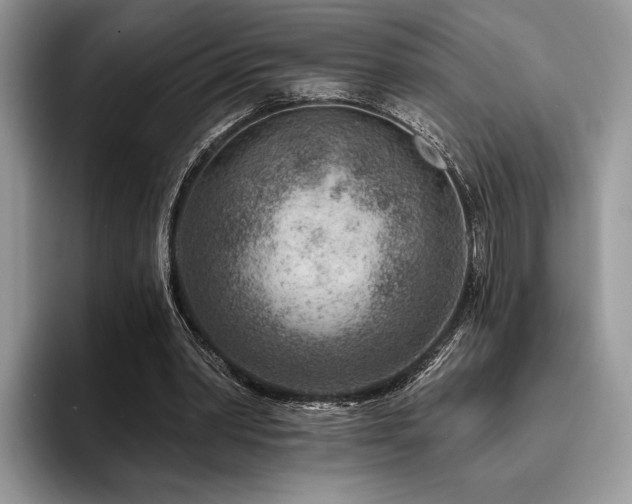 X0000096190390200801181325