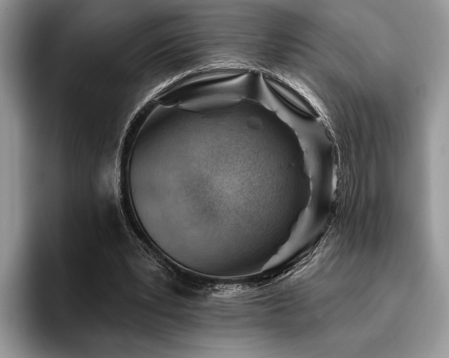 X0000096190391200801181325