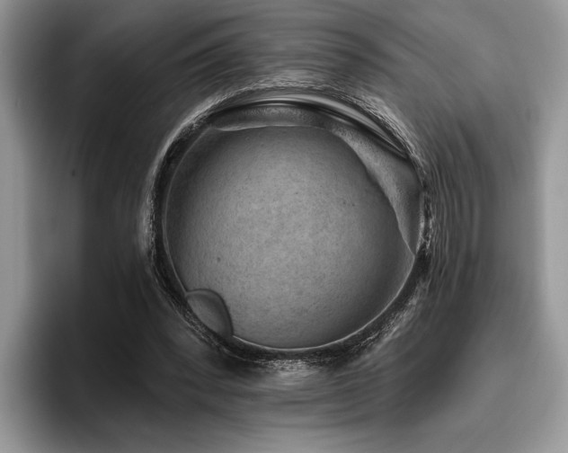 X0000096190392200801181325