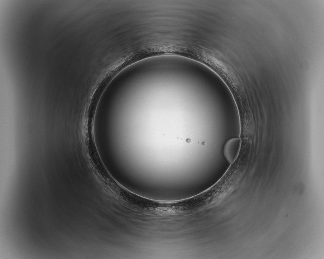 X0000096190394200801181325