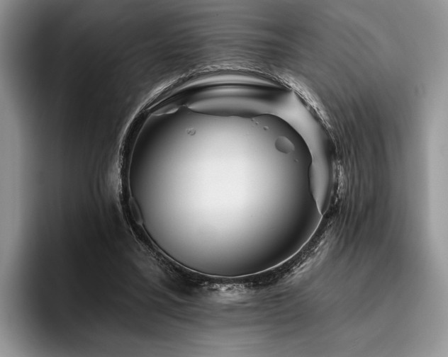 X0000096190395200801181325
