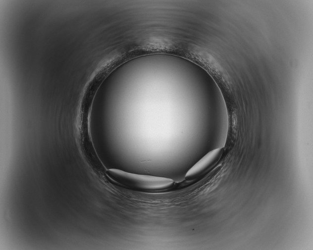 X0000096190396200801181325