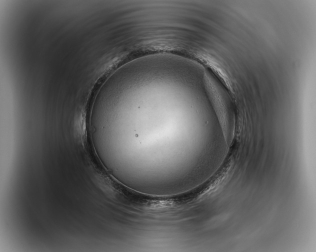 X0000096190398200801181325
