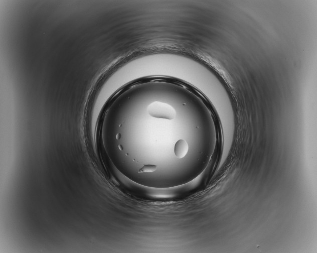 X0000096190399200801181325