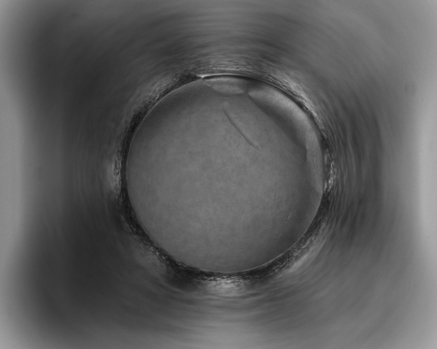 X0000096190402200801181325