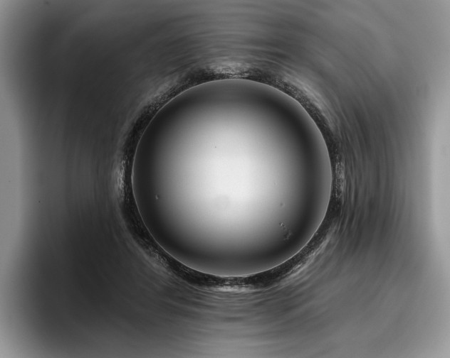 X0000096190404200801181325