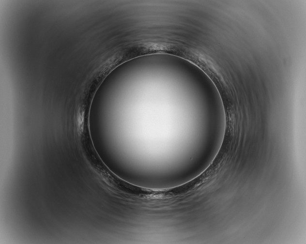 X0000096190406200801181325