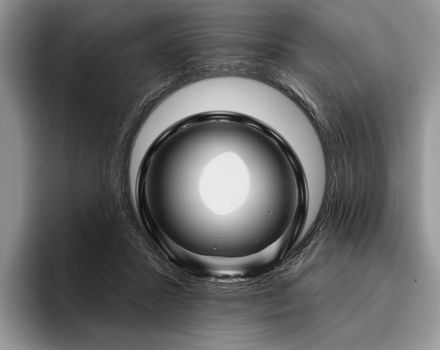 X0000096190407200801181325