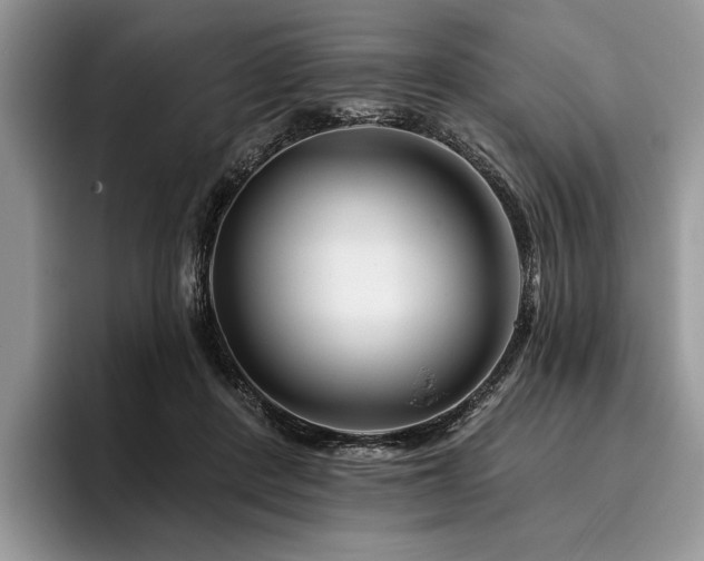 X0000096190408200801181325