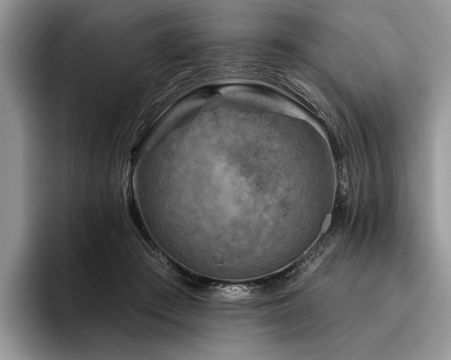 X0000096190409200801181325