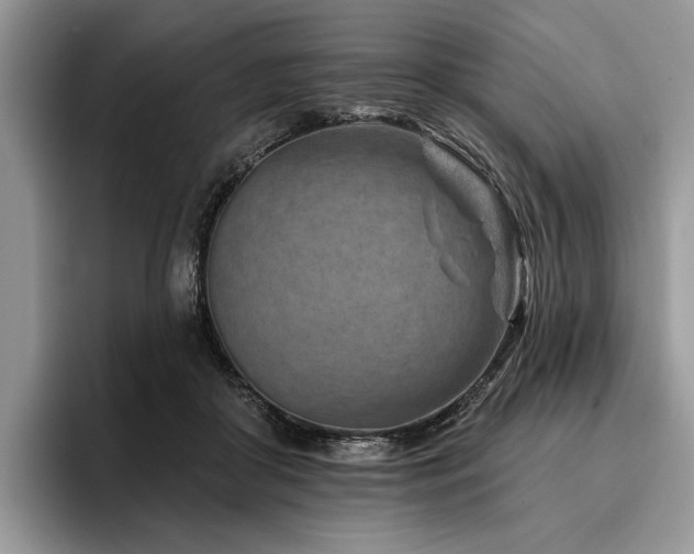 X0000096190410200801181325