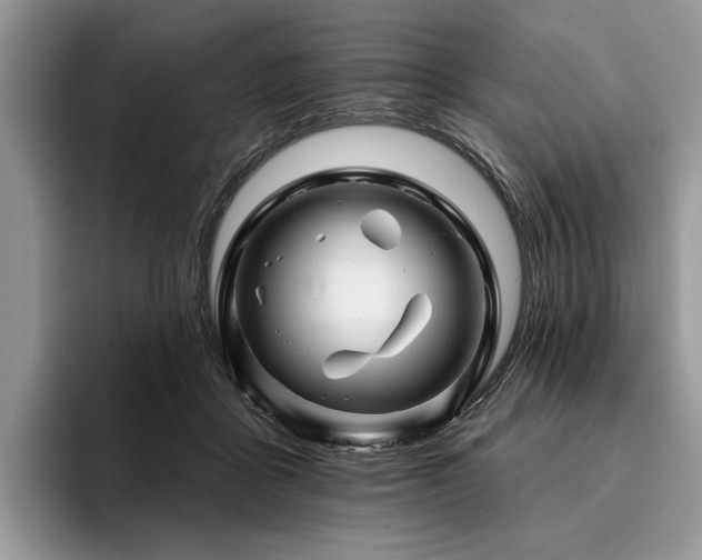 X0000096190411200801181325
