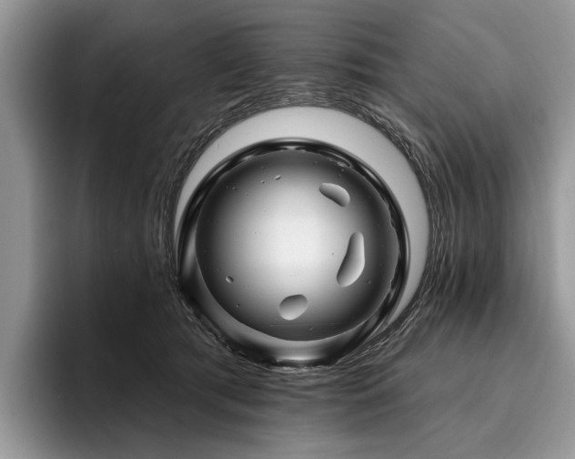 X0000096190417200801181325