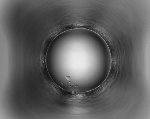 X0000096190418200801181325