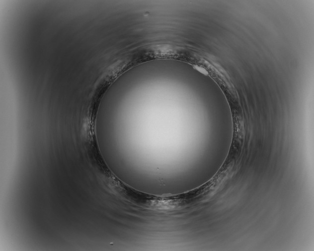 X0000096190419200801181325