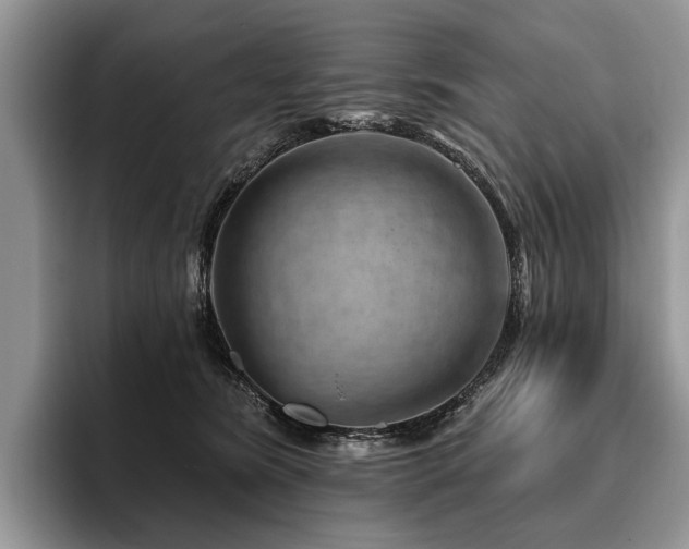 X0000096190420200801181325
