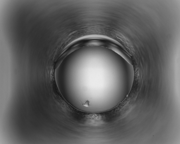 X0000096190421200801181325
