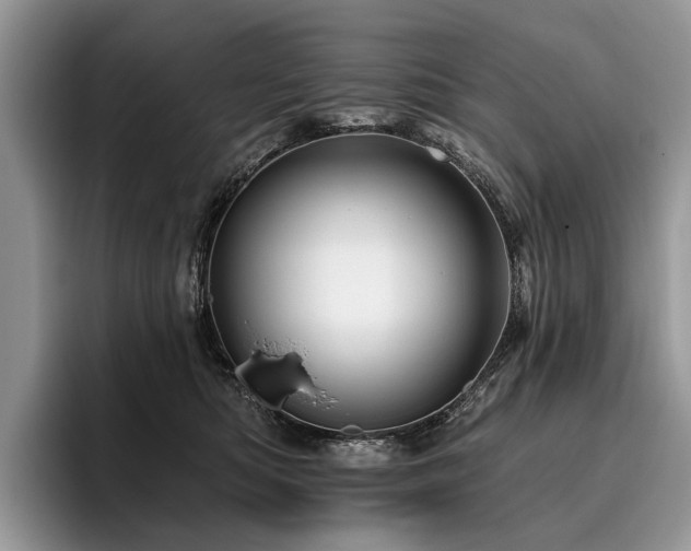 X0000096190422200801181325