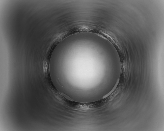 X0000096190423200801181325